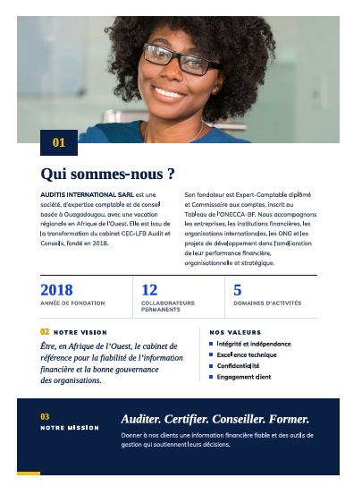 AUDITIS INTERNATIONAL SARL